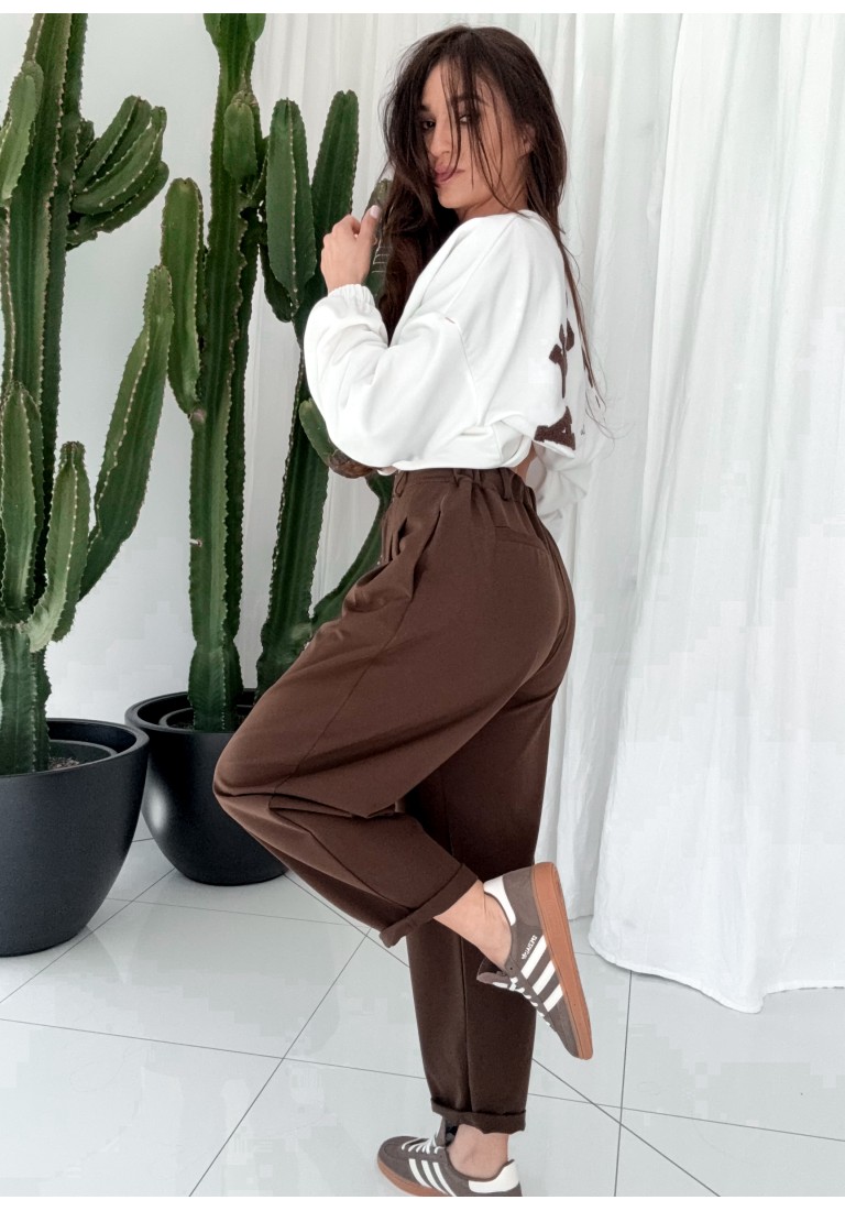Spodnie Aris Chocolate
